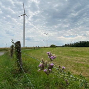7 Windkraftanlagen bei Fürstenau